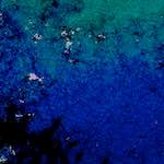 image: Image from the photoset ‘
damage (lviii)
’.