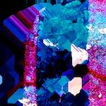 image: Image from the photoset ‘
damage (lviii)
’.