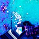 image: Image from the photoset ‘
damage (lviii)
’.