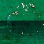 image: Image from the photoset ‘
damage (lxi)
’.