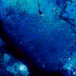 image: Image from the photoset ‘
damage (lxi)
’.