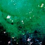 image: Image from the photoset ‘
damage (lxi)
’.