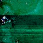 image: Image from the photoset ‘
damage (lxi)
’.