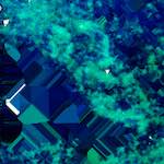 image: Image from the photoset ‘
damage (lxii)
’.