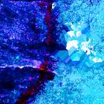 image: Image from the photoset ‘
damage (lxii)
’.