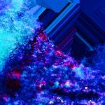 image: Image from the photoset ‘
damage (lxii)
’.