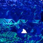 image: Image from the photoset ‘
damage (lxii)
’.