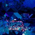 image: Image from the photoset ‘
damage (lxiv)
’.