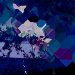 image: Image from the photoset ‘
damage (lxiv)
’.