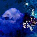 image: Image from the photoset ‘
damage (lxv)
’.