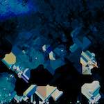 image: Image from the photoset ‘
damage (lxv)
’.