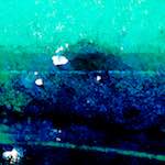 image: Image from the photoset ‘
damage (lxvi)
’.