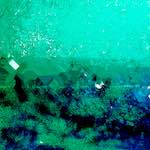 image: Image from the photoset ‘
damage (lxvi)
’.