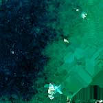 image: Image from the photoset ‘
damage (lxvi)
’.