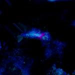 image: Image from the photoset ‘
damage (lxvii)
’.