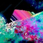 image: Image from the photoset ‘
damage (lxvii)
’.