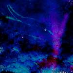 image: Image from the photoset ‘
damage (lxviii)
’.