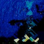 image: Image from the photoset ‘
damage (lxix)
’.