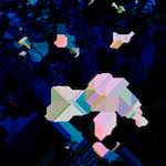 image: Image from the photoset ‘
damage (lxix)
’.