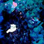 image: Image from the photoset ‘
damage (lxx)
’.