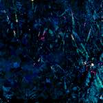 image: Image from the photoset ‘
damage (lxxi)
’.