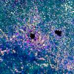 image: Image from the photoset ‘
damage (lxxi)
’.