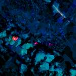 image: Image from the photoset ‘
damage (lxxi)
’.