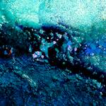 image: Image from the photoset ‘
damage (lxxi)
’.