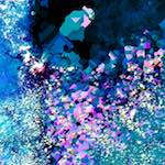 image: Image from the photoset ‘
damage (lxxii)
’.