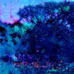 image: Image from the photoset ‘
damage (lxxii)
’.