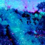 image: Image from the photoset ‘
damage (lxxiii)
’.