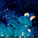 image: Image from the photoset ‘
damage (lxxiii)
’.