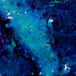 image: Image from the photoset ‘
damage (lxxiii)
’.