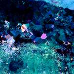 image: Image from the photoset ‘
damage (lxxiii)
’.