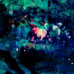 image: Image from the photoset ‘
damage (lxxiv)
’.