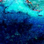 image: Image from the photoset ‘
damage (lxxiv)
’.