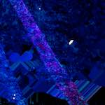 image: Image from the photoset ‘
damage (lxxv)
’.