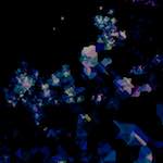 image: Image from the photoset ‘
damage (lxxvi)
’.