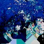 image: Image from the photoset ‘
damage (lxxvi)
’.