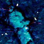 image: Image from the photoset ‘
damage (lxxvii)
’.