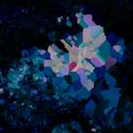 image: Image from the photoset ‘
damage (lxxvii)
’.