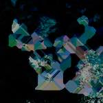 image: Image from the photoset ‘
damage (lxxvii)
’.