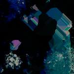 image: Image from the photoset ‘
damage (lxxvii)
’.