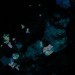 image: Image from the photoset ‘
damage (lxxviii)
’.