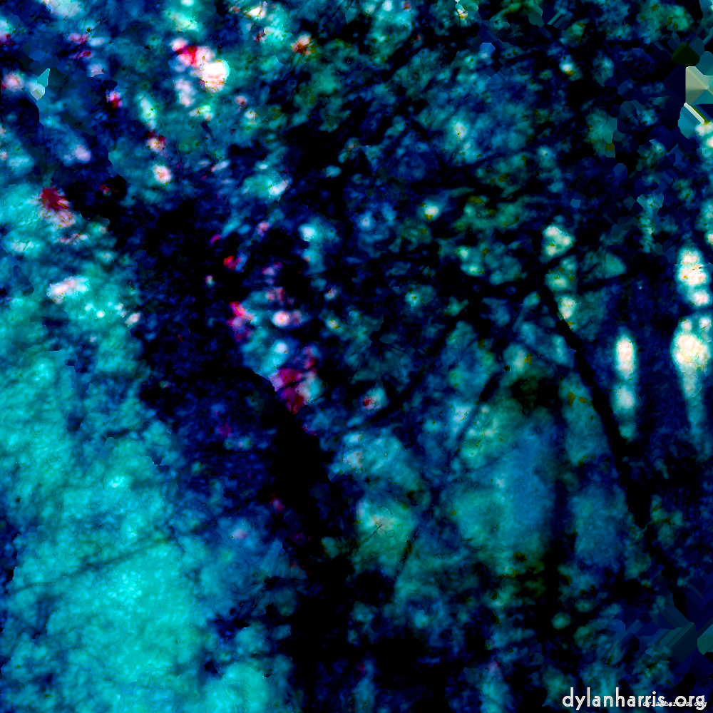 Image: Image 'damage (lxxix) 6'.