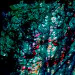 image: Image from the photoset ‘
damage (lxxix)
’.