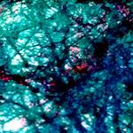 image: Image from the photoset ‘
damage (lxxix)
’.