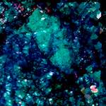 image: Image from the photoset ‘
damage (lxxix)
’.