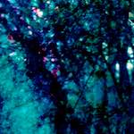 image: Image from the photoset ‘
damage (lxxix)
’.