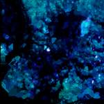 image: Image from the photoset ‘
damage (lxxx)
’.